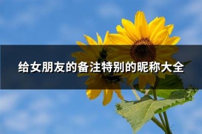 ​给女朋友的备注特别的昵称大全(78个)