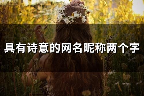 具有诗意的网名昵称两个字(100个)