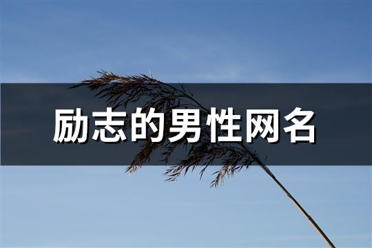 励志的男性网名(共82个)