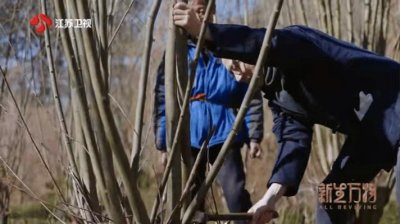 ​蒋昌建老师也太会说了吧！