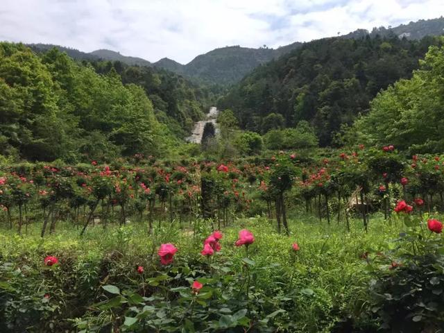 中国第一极限漂流——婺源五龙源漂流