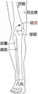 ​中医穴位小妙招：鹤顶穴-治疗膝关节痛有特效